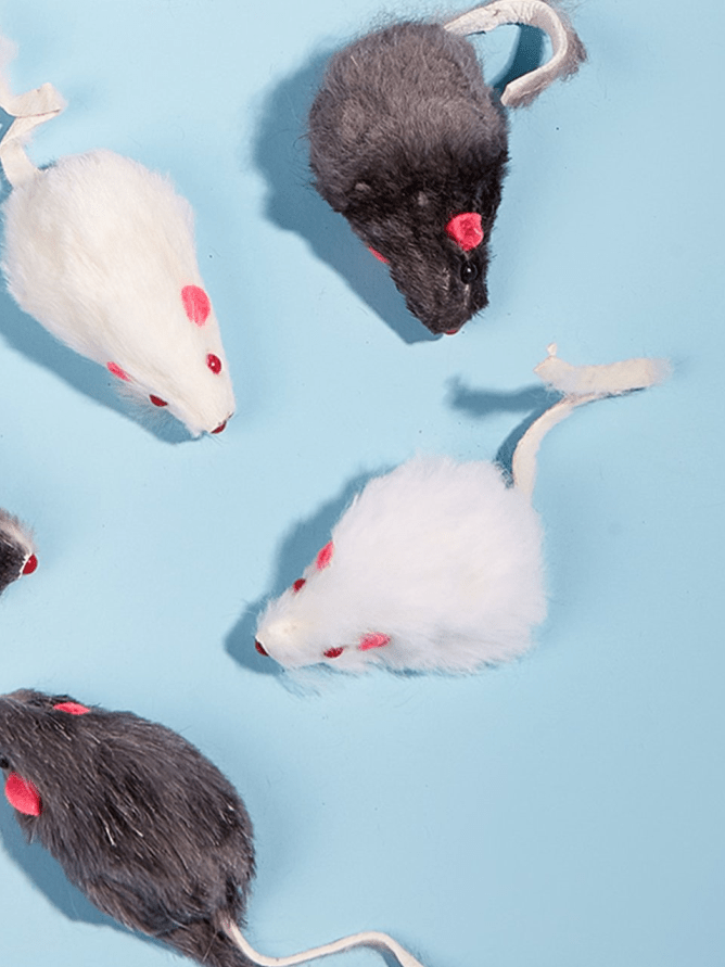 12-Pack Mouse Toys - fendix