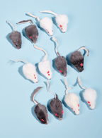 12-Pack Mouse Toys - fendix