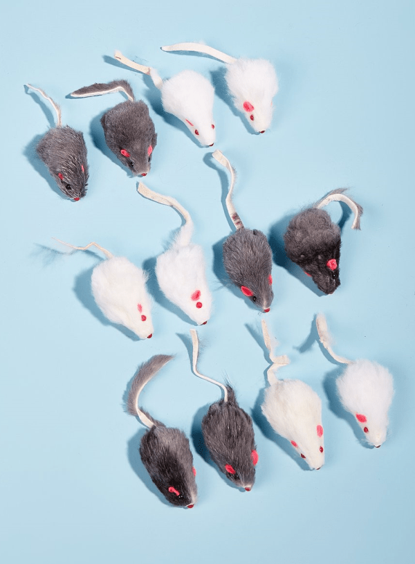 12-Pack Mouse Toys - fendix