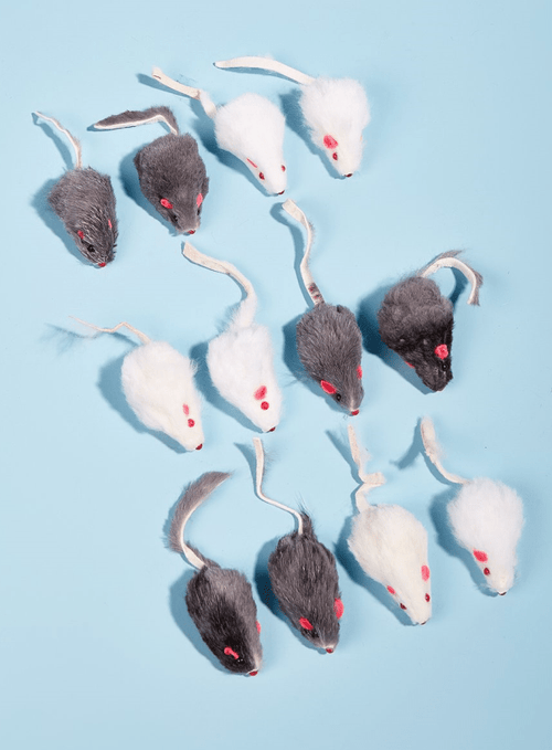 12-Pack Mouse Toys - fendix