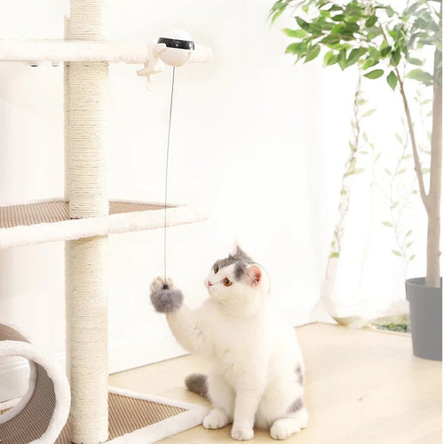Automatic Cat Ball Toy - fendix