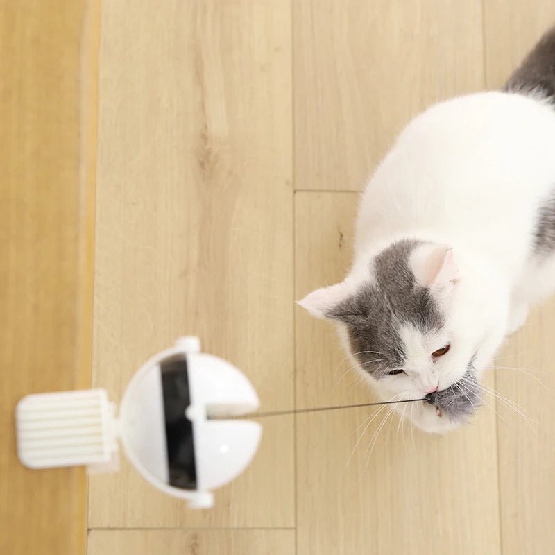 Automatic Cat Ball Toy - fendix