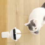 Automatic Cat Ball Toy - fendix