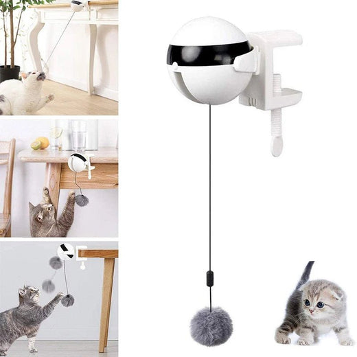 Automatic Cat Ball Toy - fendix