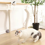 Automatic Cat Ball Toy - fendix