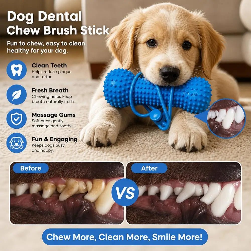 Dental Chew Toy - fendix