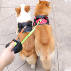Dual Retractable Dog Leash - fendix