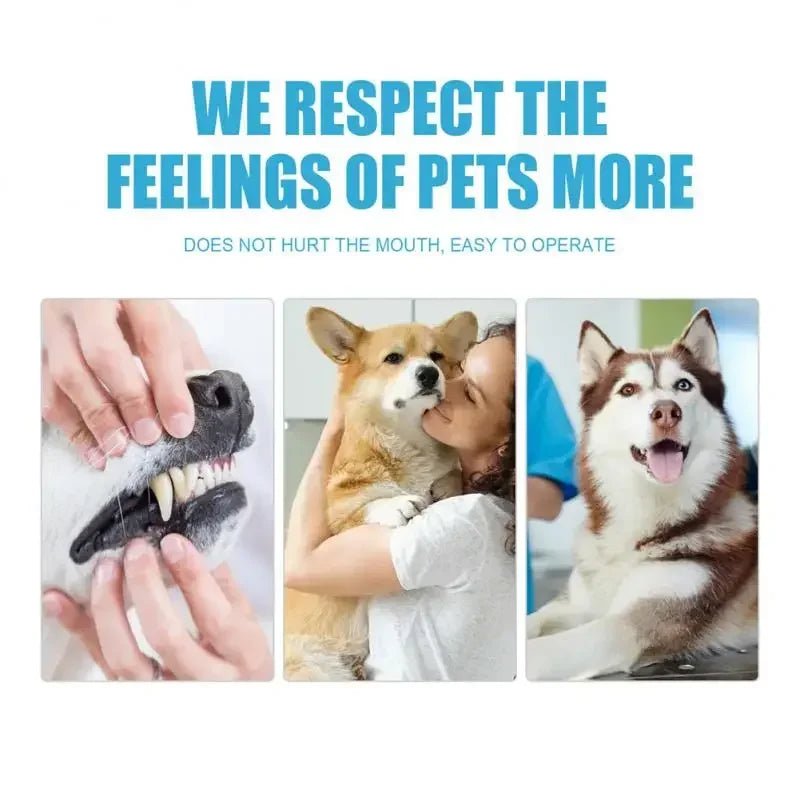 Pet Toothpaste - fendix