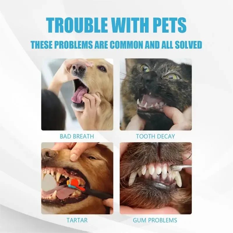 Pet Toothpaste - fendix