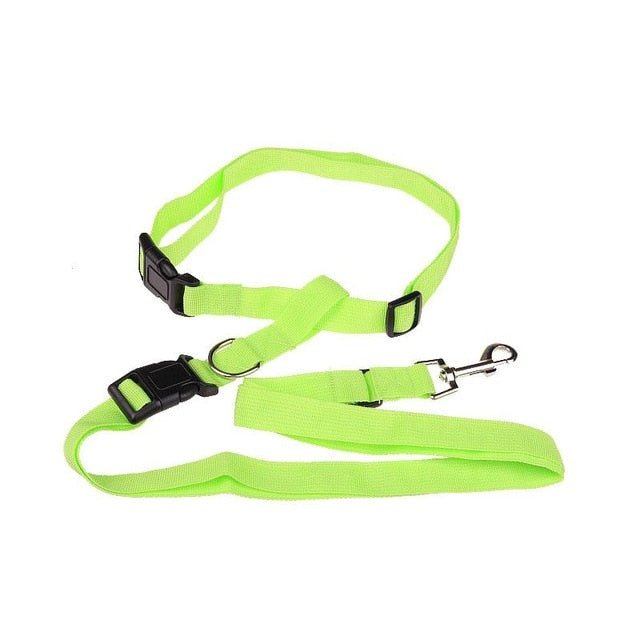 Running Dog Leash - fendix