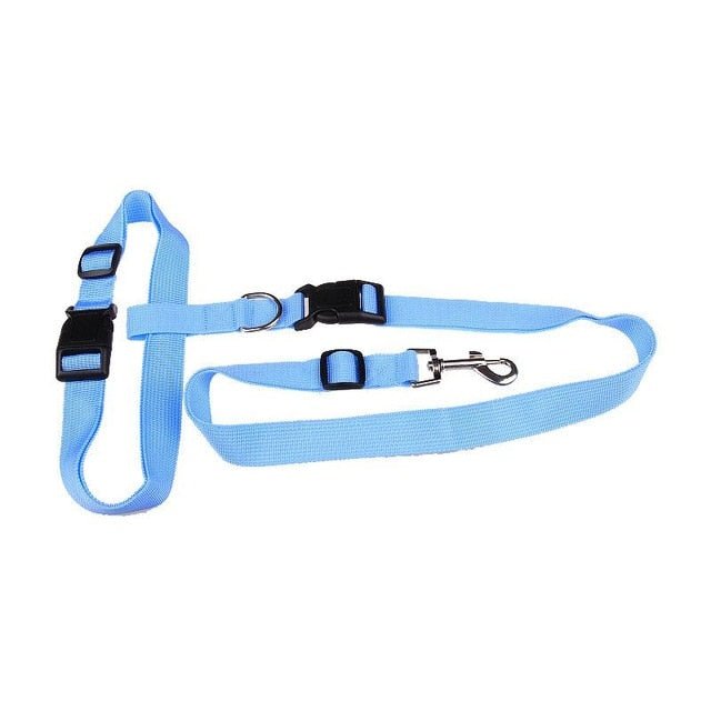 Running Dog Leash - fendix