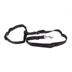 Running Dog Leash - fendix