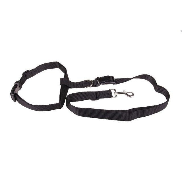Running Dog Leash - fendix