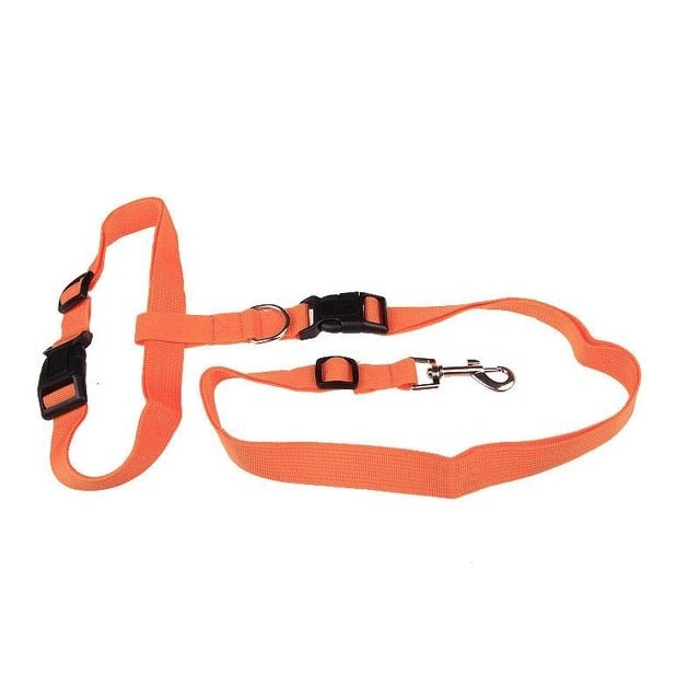 Running Dog Leash - fendix