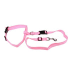 Running Dog Leash - fendix