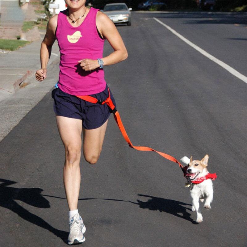 Running Dog Leash - fendix